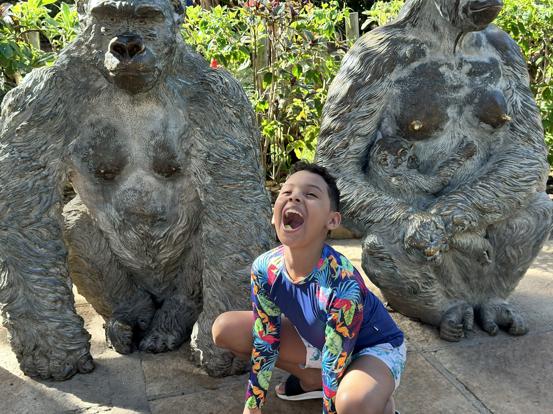 Oceani Beach Park Hotel主图