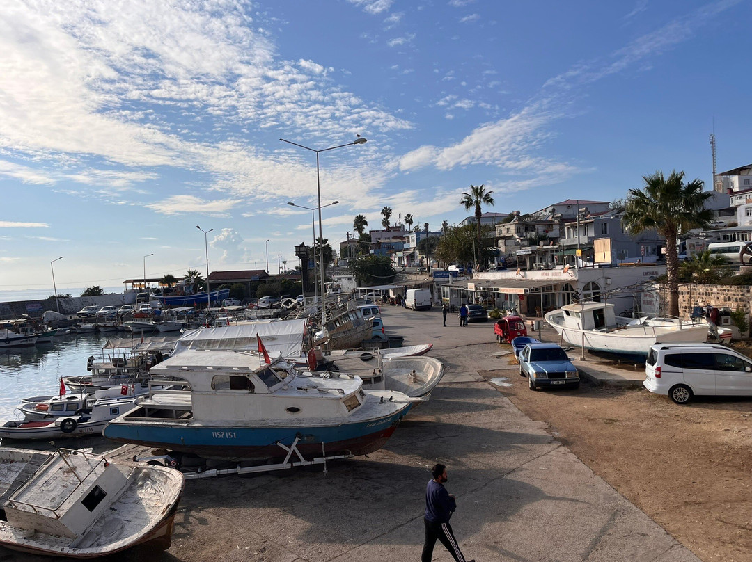 Yumurtalık Plajı景点图片
