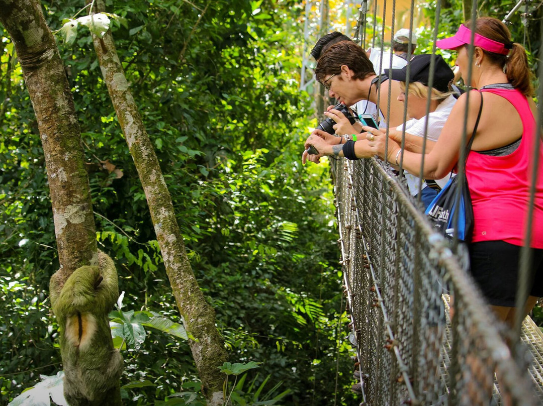 Solan Travel Costa Rica Dmc景点图片