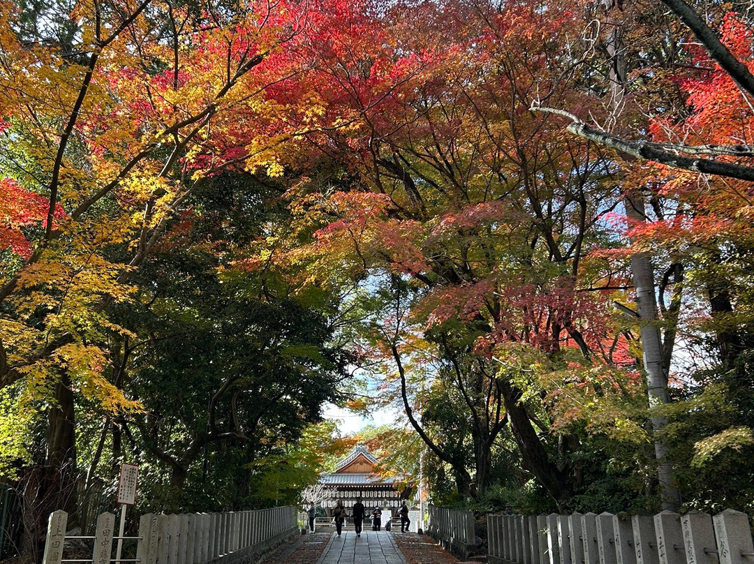 Muko Shrine-向日市必去景点