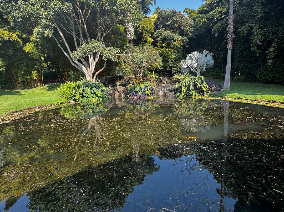 Huayacán Cuernavaca Curamoria Collection主图