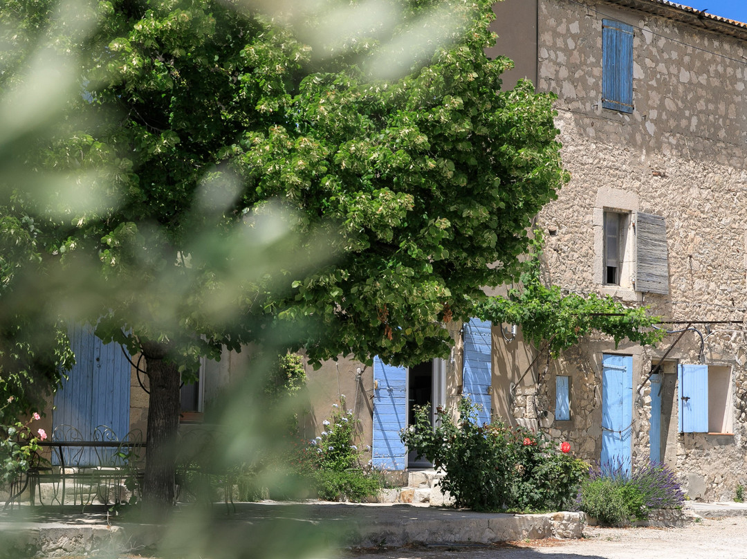Domaine De Suriane景点图片