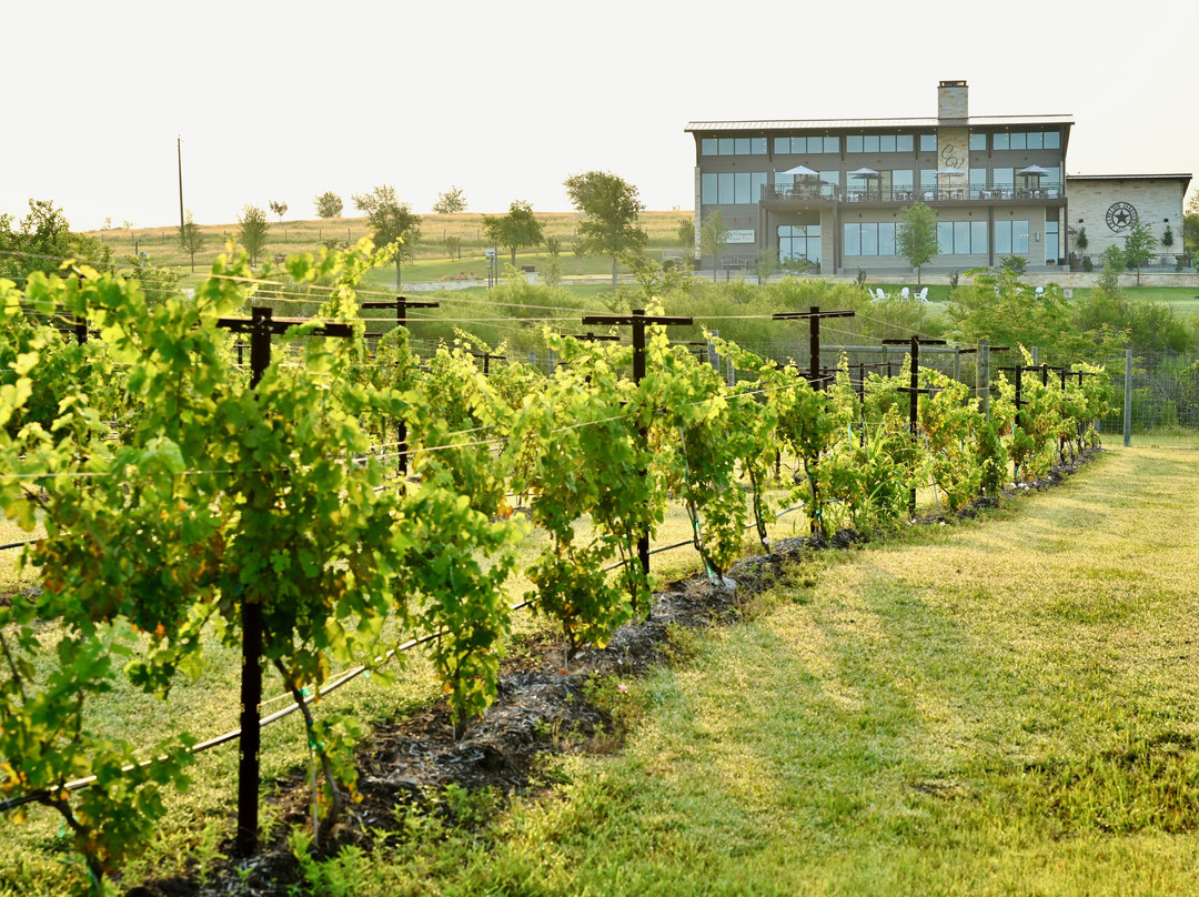 Chapelton Vineyards景点图片