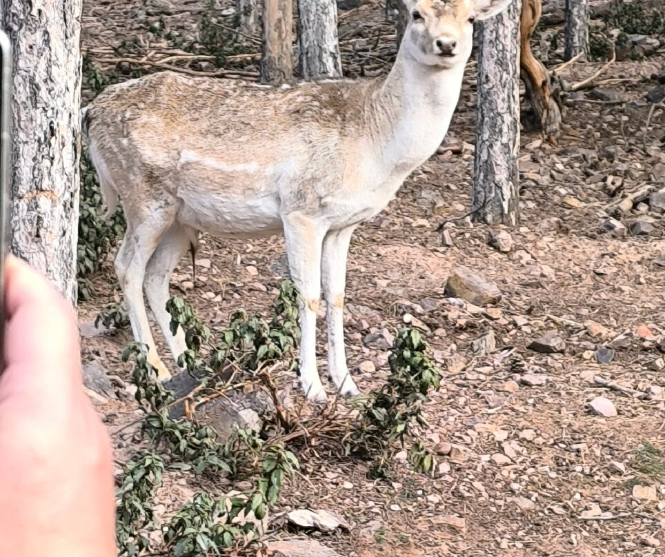Parque de Fauna La Maleza景点图片