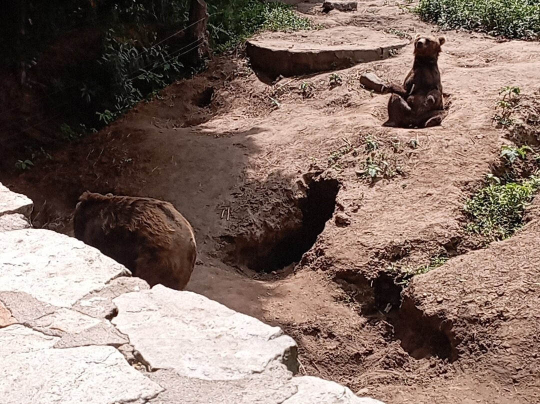 Zoo de Batan-Batan必去景点