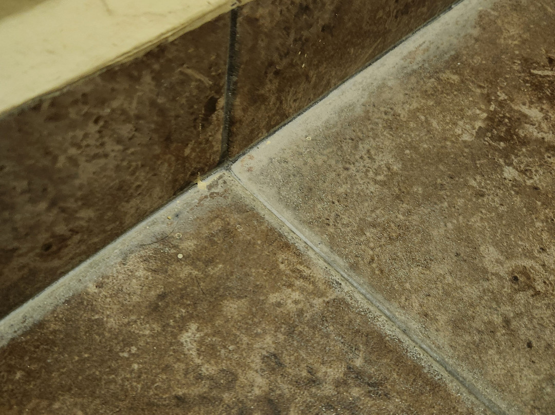 Seven Crown Centro Historico La Paz主图