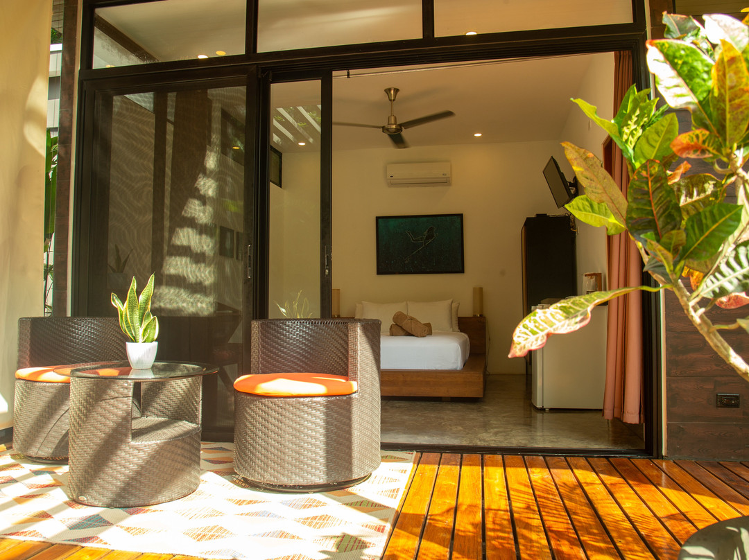 The White Palms Of Nosara