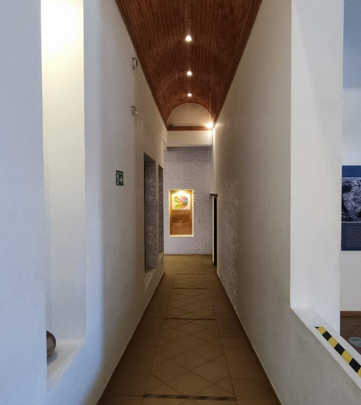 Museo El Fosil-莱瓦镇必去景点