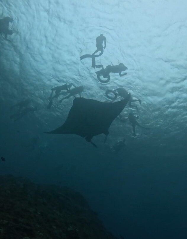 Noosa Dive Resort-Ped必去景点