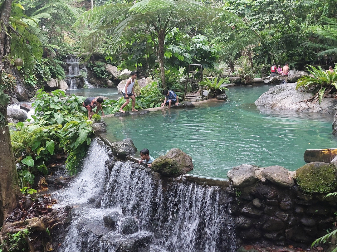 Dumaguete Taxi And Van Transport Services Plus Tours-杜马盖地必去景点