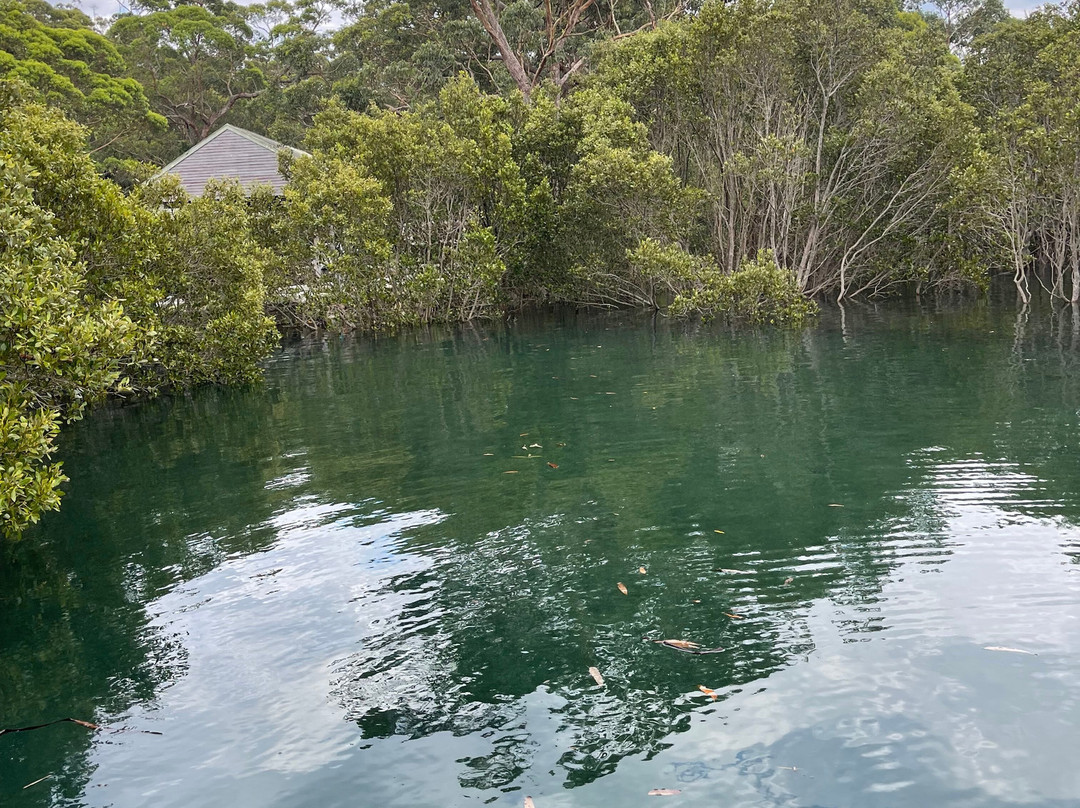 Jervis Bay Kayak & Paddlesports Co景点图片