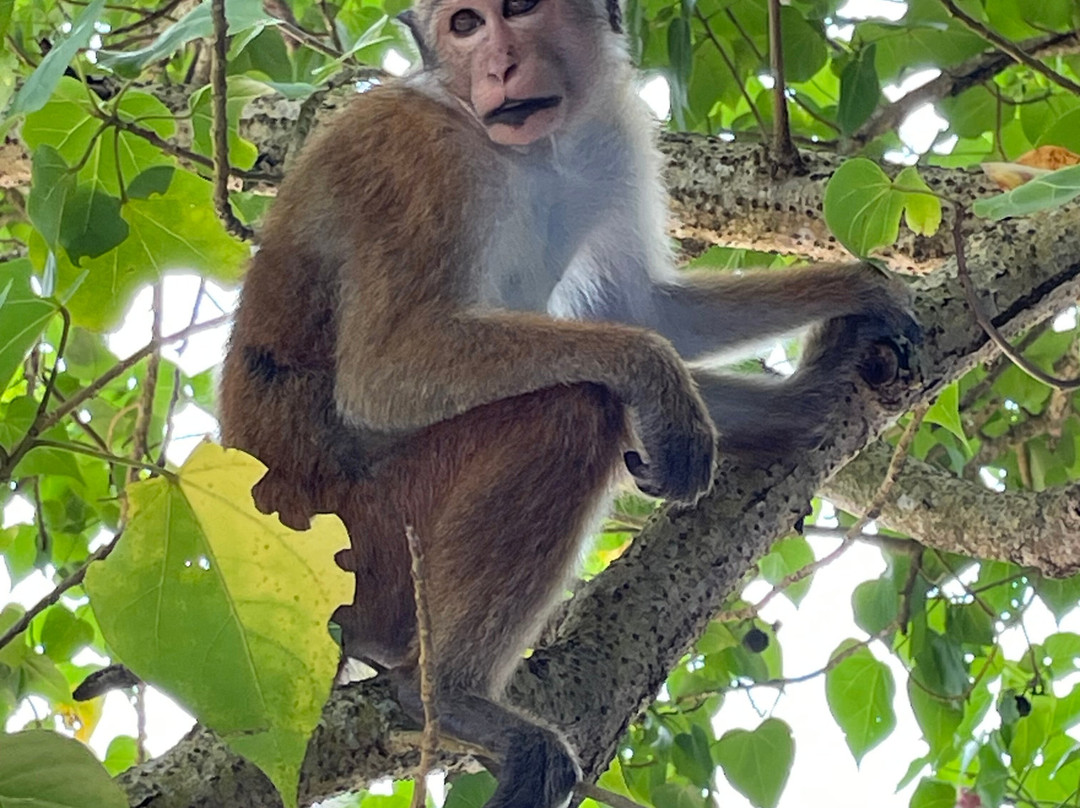 Leisure Land Villas主图