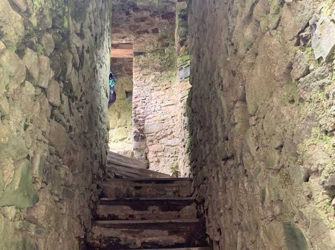 Lydford Castle & Saxon Town景点图片