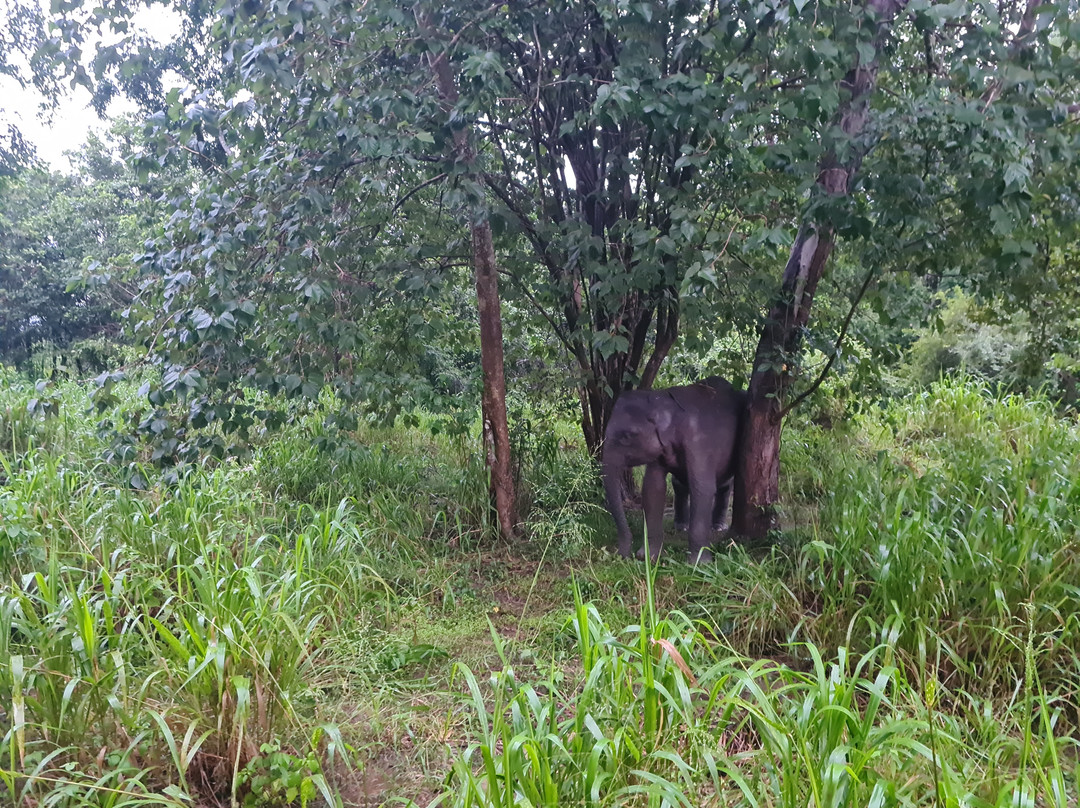 Tharaka Jeep Safari Habarana-哈巴拉娜必去景点