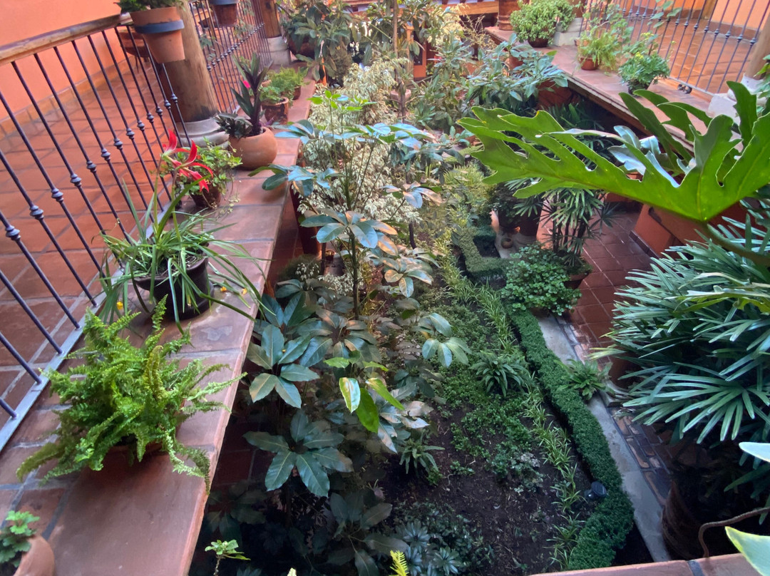 Hotel Pueblo Magico主图