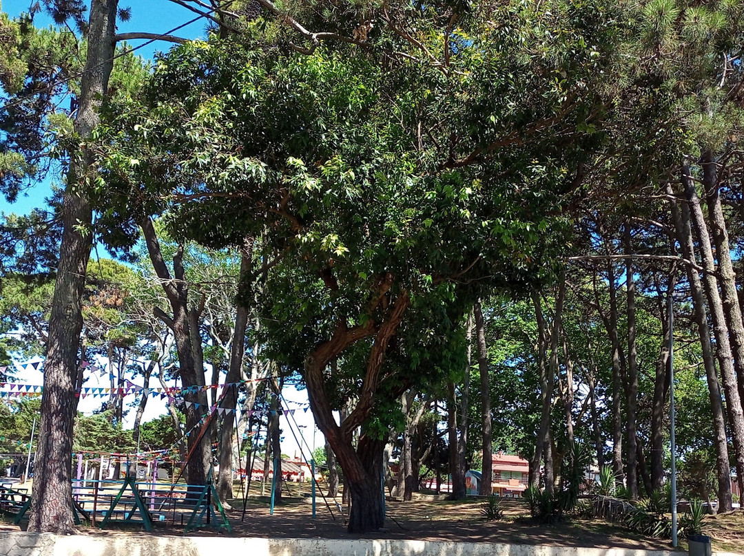 Plaza de la Familia-San Bernardo必去景点