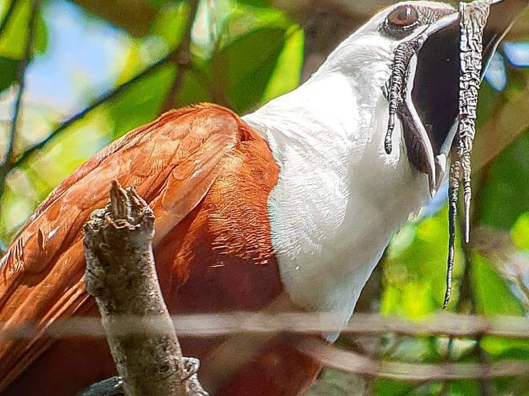 Johnny Loves Nature Eco Tours-蒙特沃德必去景点