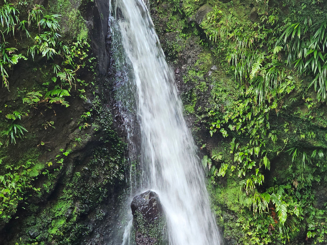 Jacko Falls-Morne Trois Pitons National Park必去景点