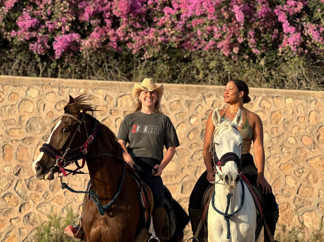 Ranch Paradis Agadir-奥瑞尔必去景点