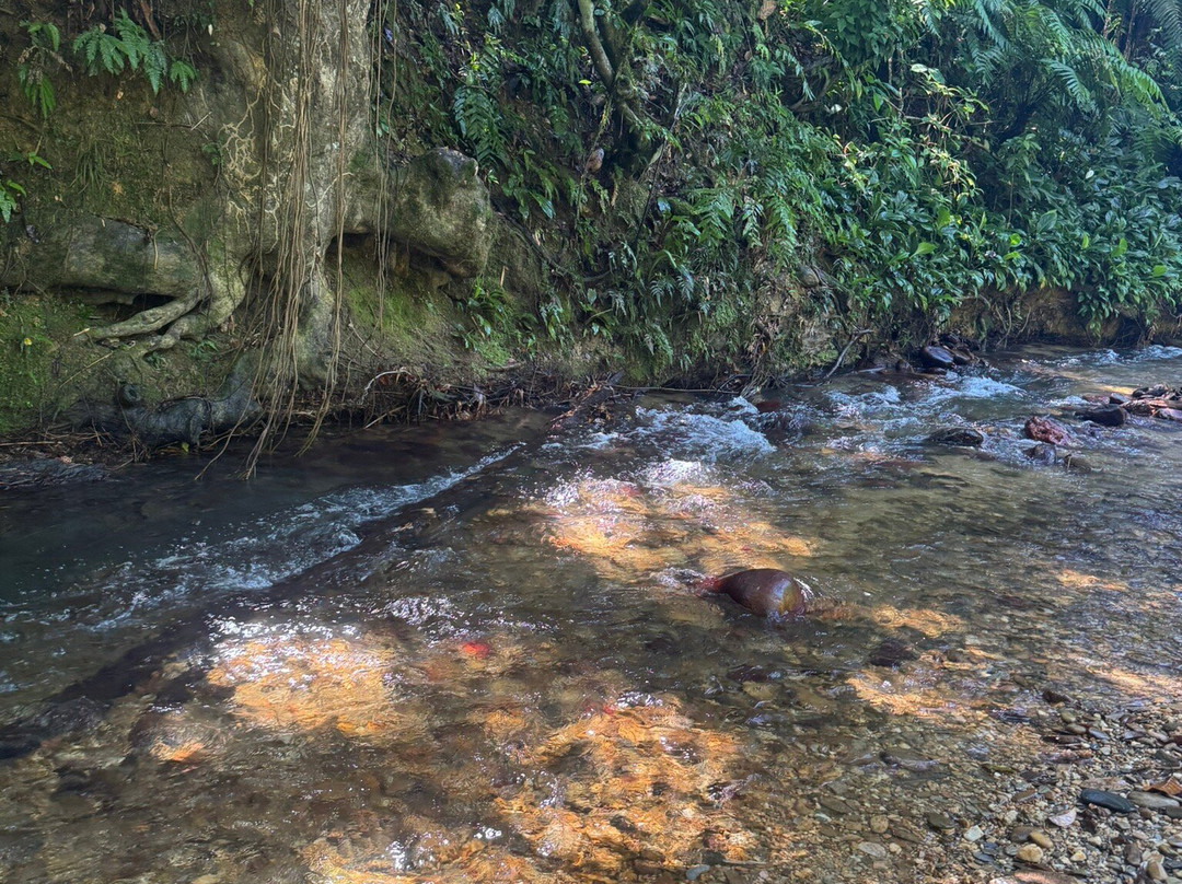 Avocat Waterfall-Blanchisseuse必去景点