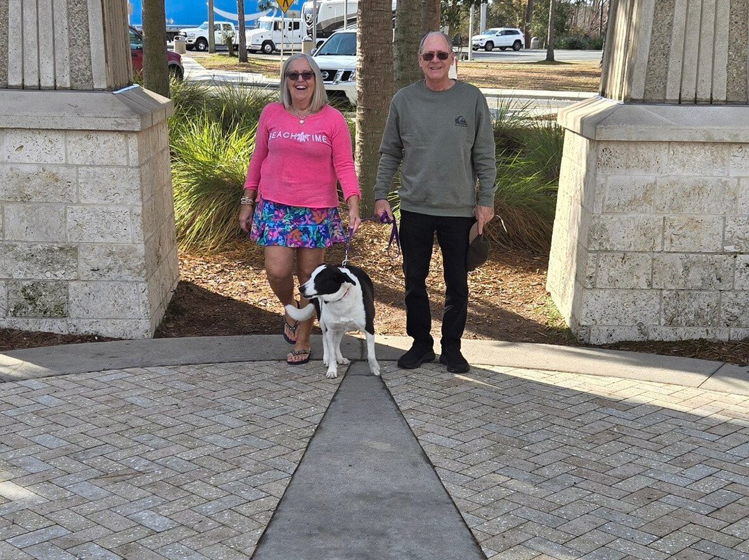 Wingate by Wyndham Valdosta/Moody AFB主图