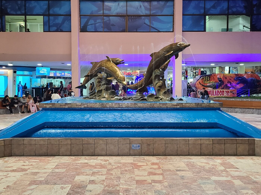 Acuario de Veracruz-韦拉克鲁斯必去景点