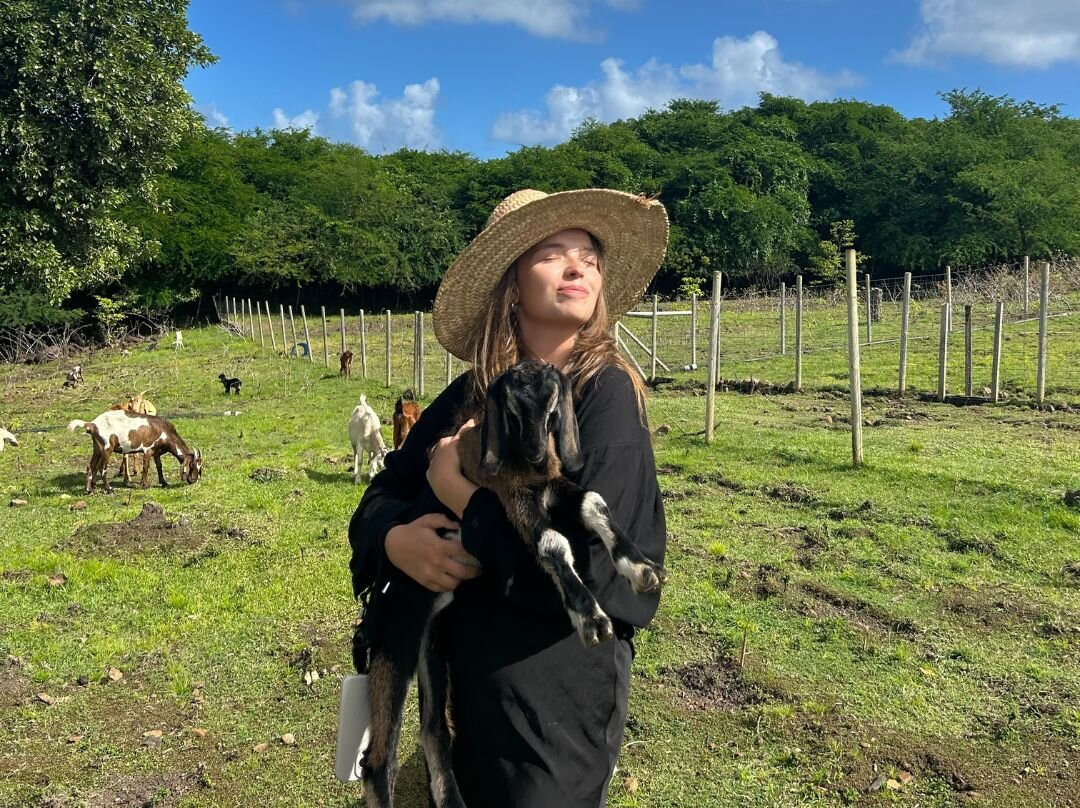 Domaine De Puyferrat主图