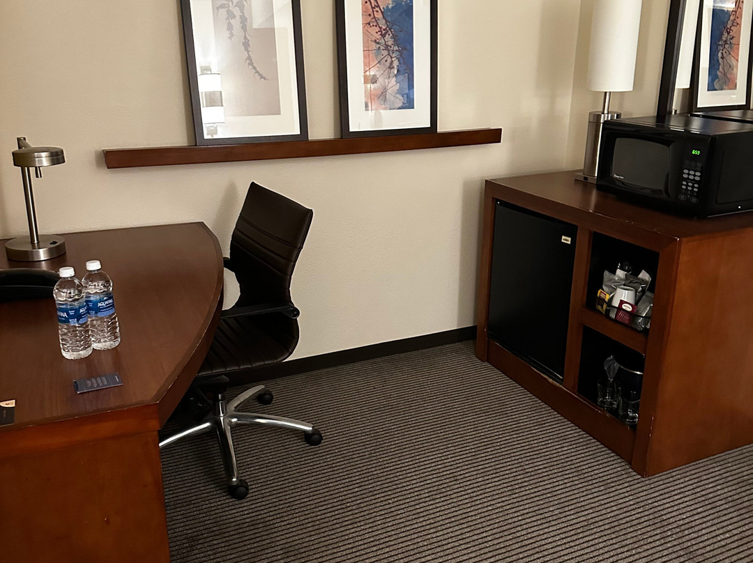 圣地亚哥卡尔斯巴德凯悦广场酒店主图