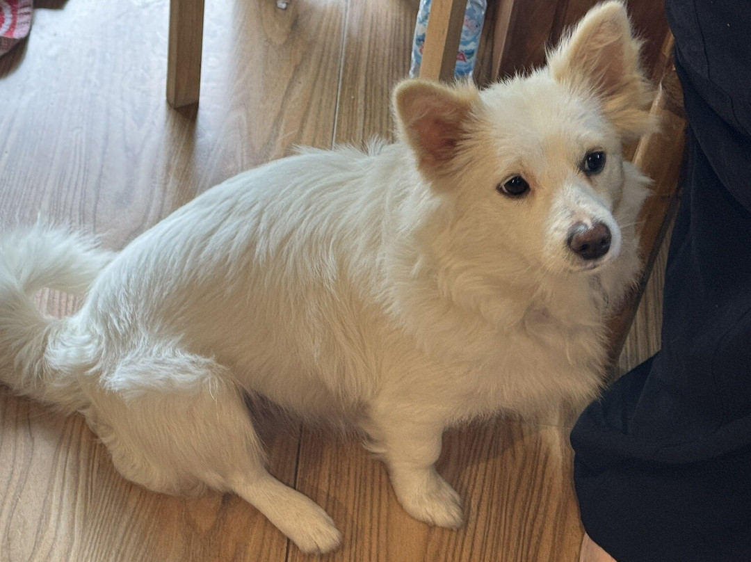 MiMi Spa-会安必去景点