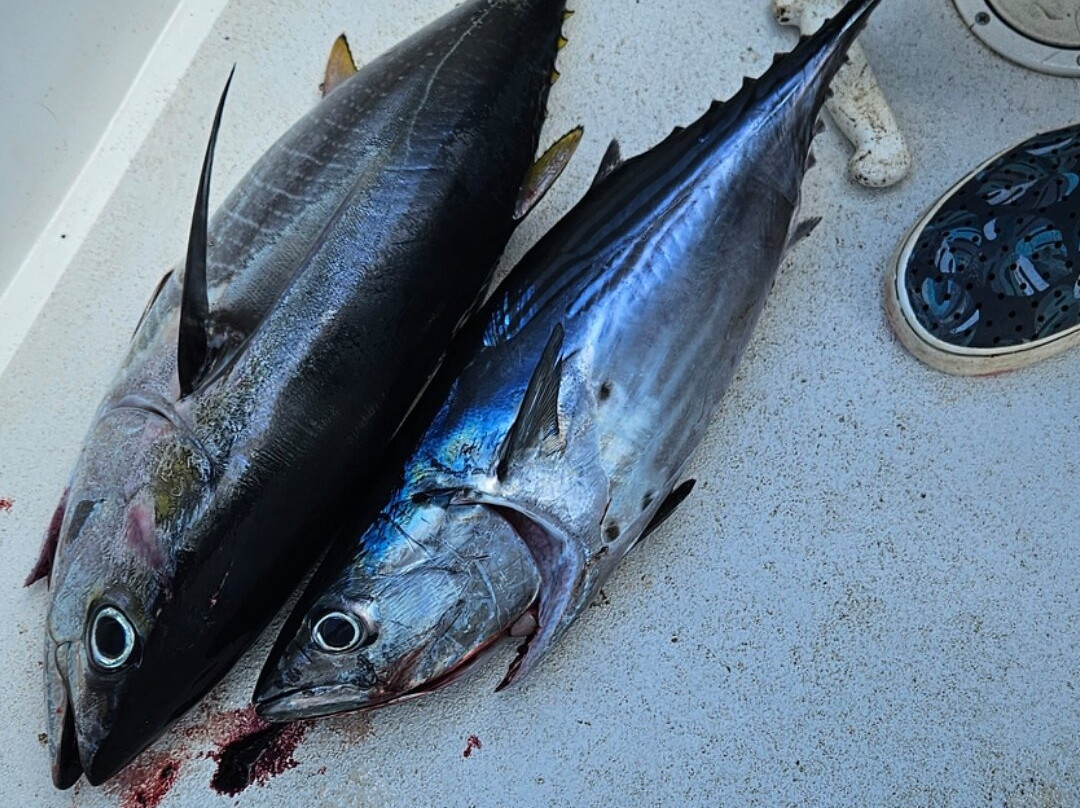 Playa Venao Fishing景点图片
