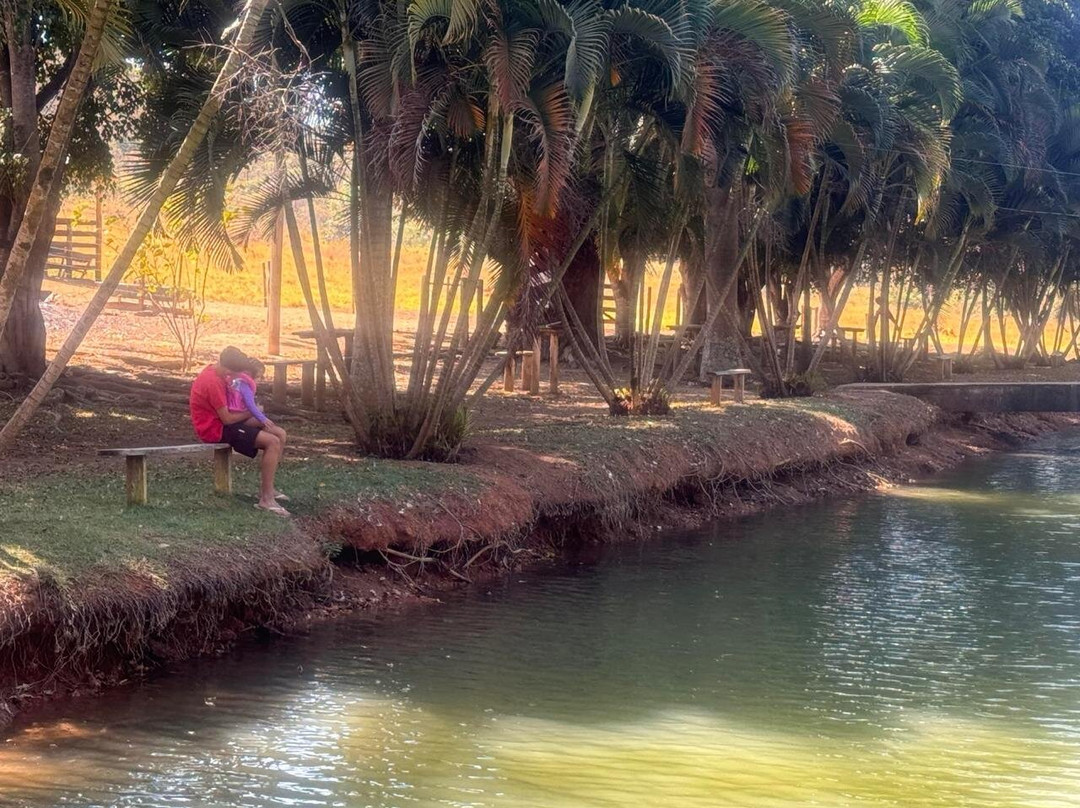 Fazendinha Dom Bosco-Brazlandia必去景点