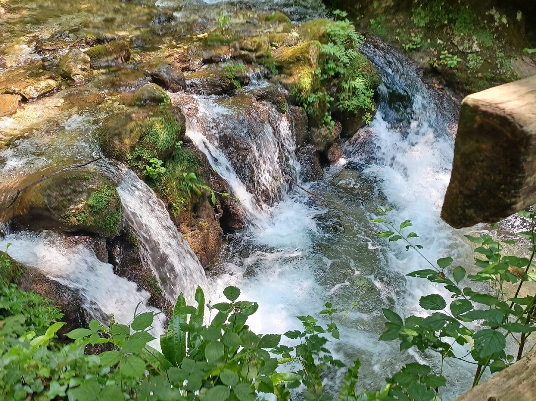 Parco Delle Fucine景点图片