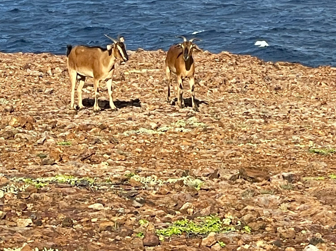 Seroe Colorado-奥腊涅斯塔德必去景点