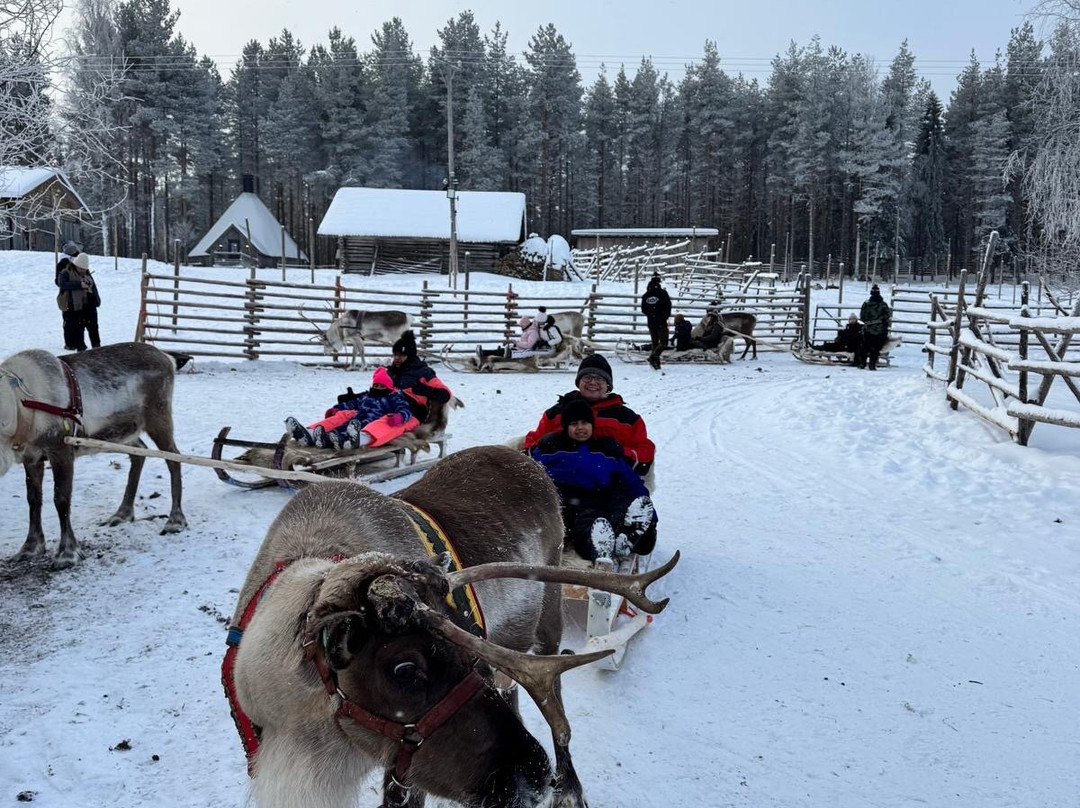 Sunny Safari-罗瓦涅米必去景点
