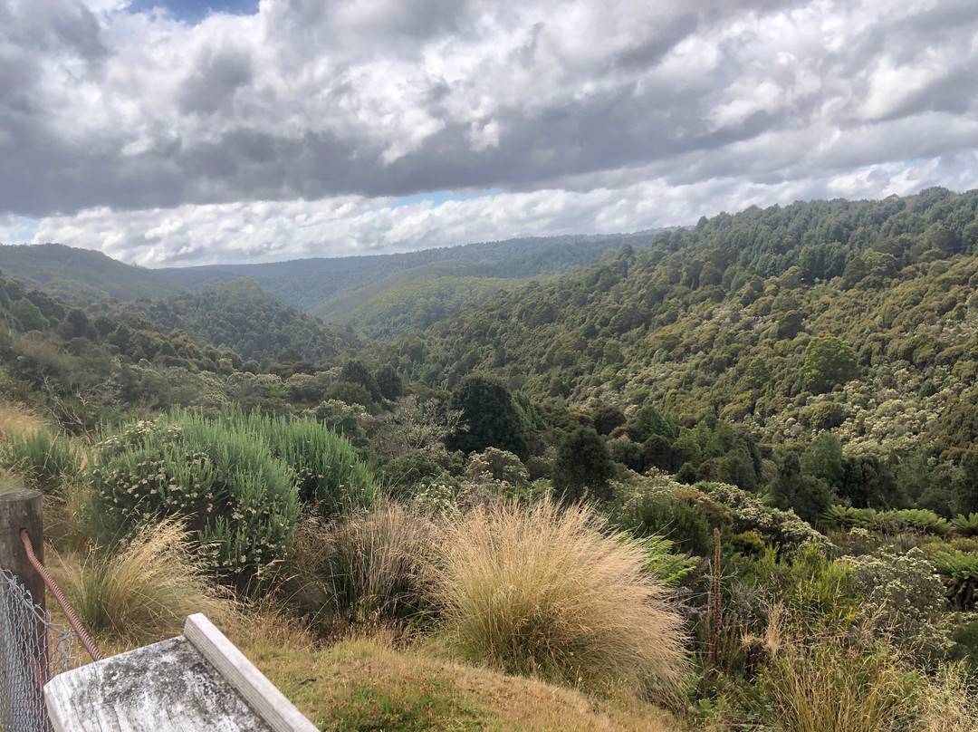 Bischoff Hotel主图