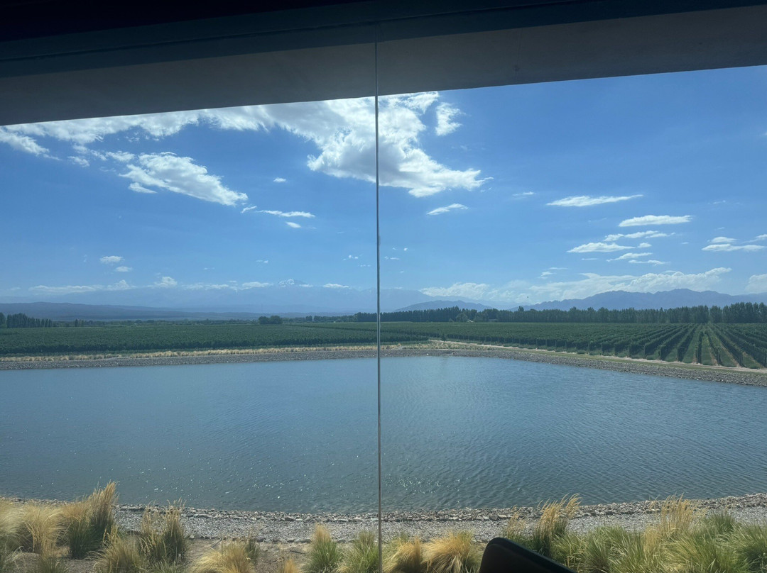 Anaia Wines-阿格雷洛必去景点