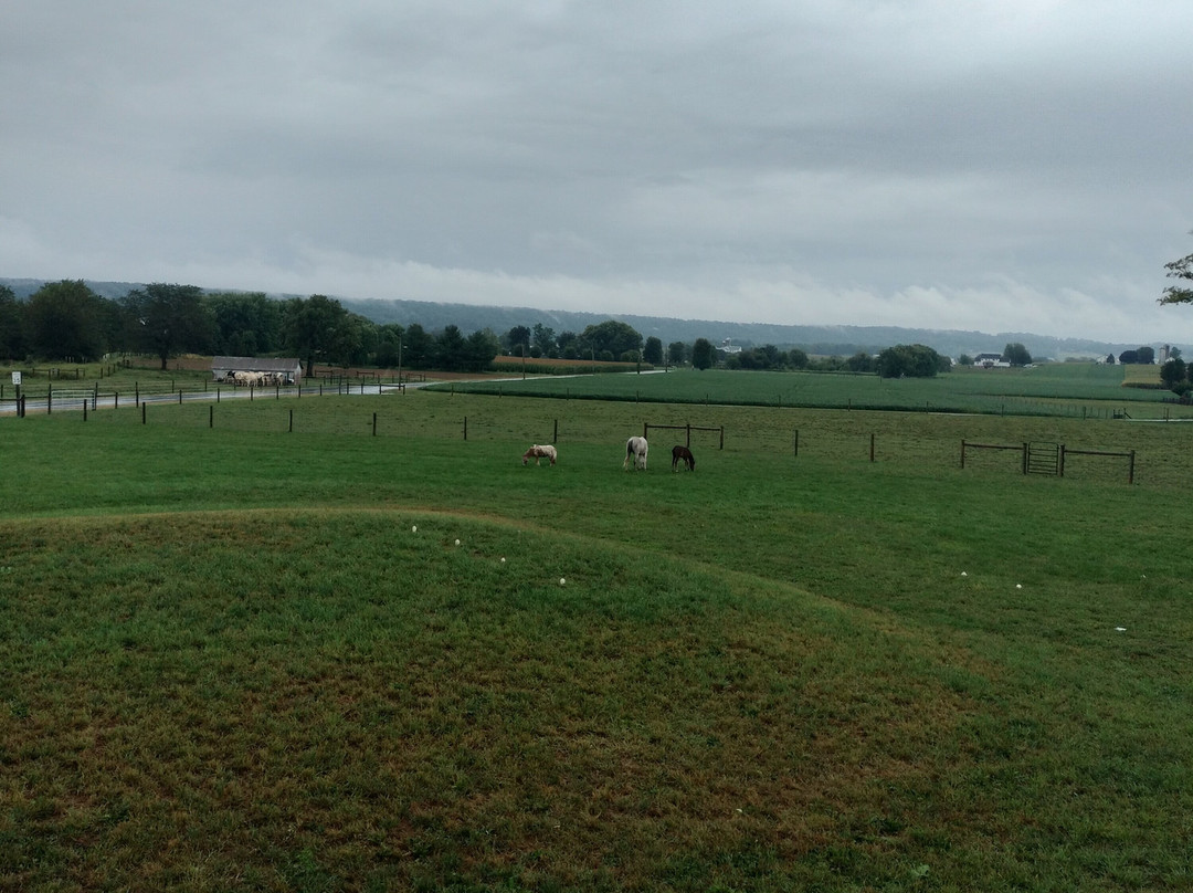 Amish Meals With The Blank Family景点图片