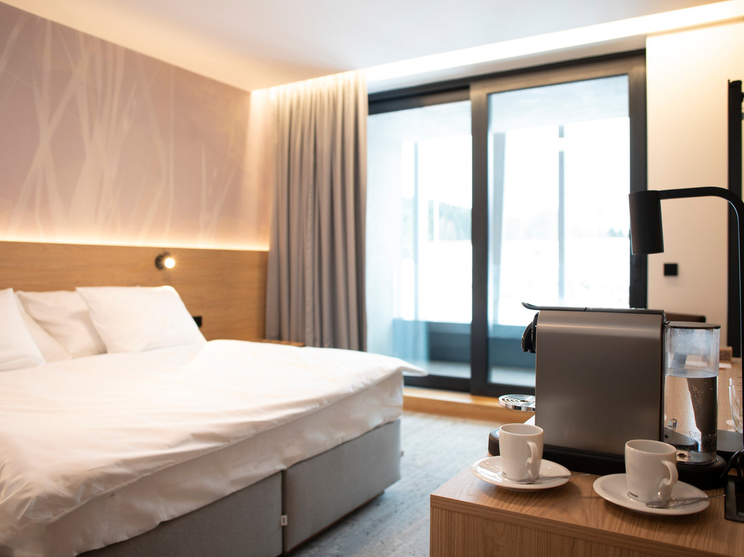 Amenity Hotel & Resort Česká Kanada主图