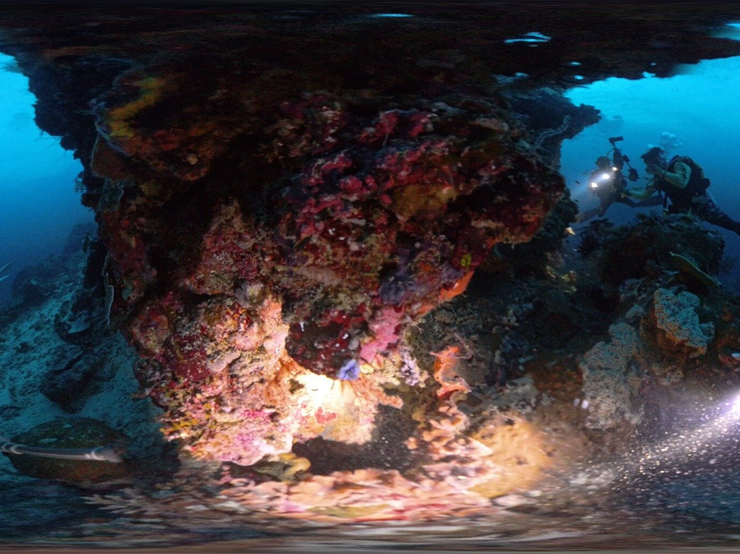 La Galigo Liveaboard - Raja Ampat South 9D/8N景点图片