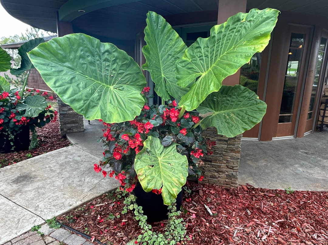 Madden's on Gull Lake主图