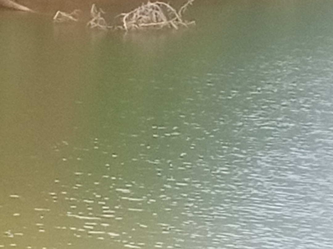 Crab Creek Catfish Pond景点图片