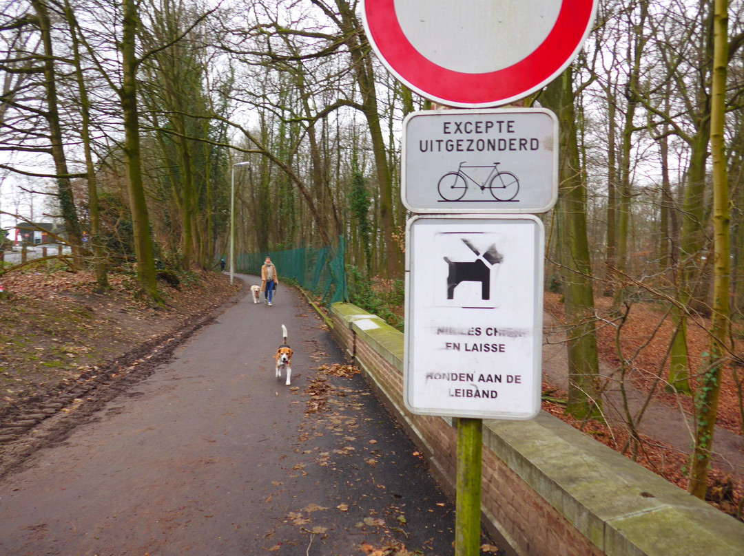 Parc Brugmann