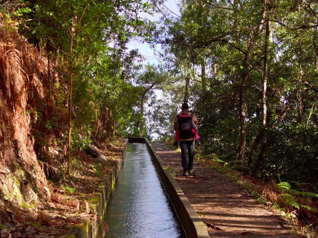 PR16 Levada Fajã do Rodrigues-Sao Vicente必去景点