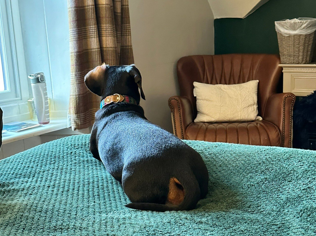 The Gateway Inn主图