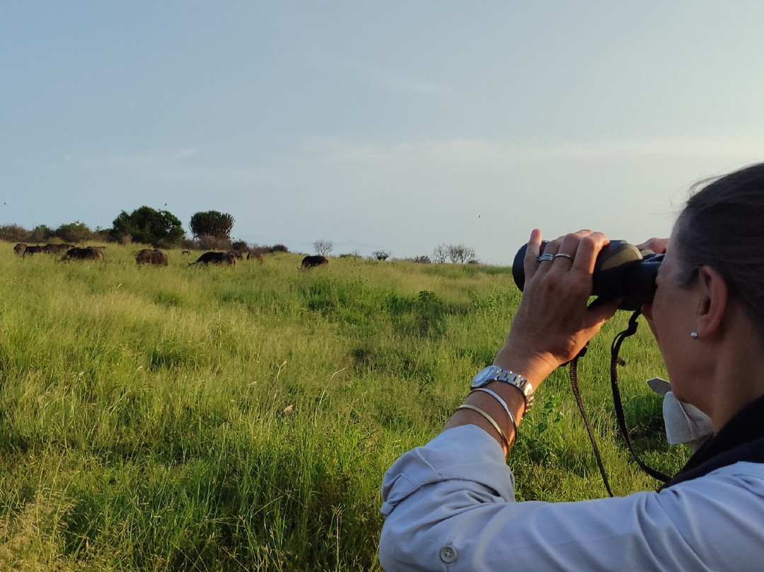 Bayala Private Safari Lodges主图