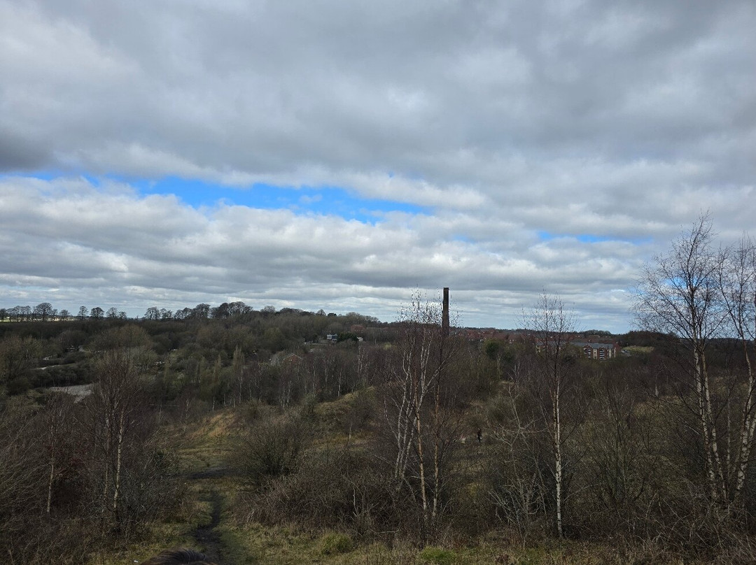 Himley House Hotel主图