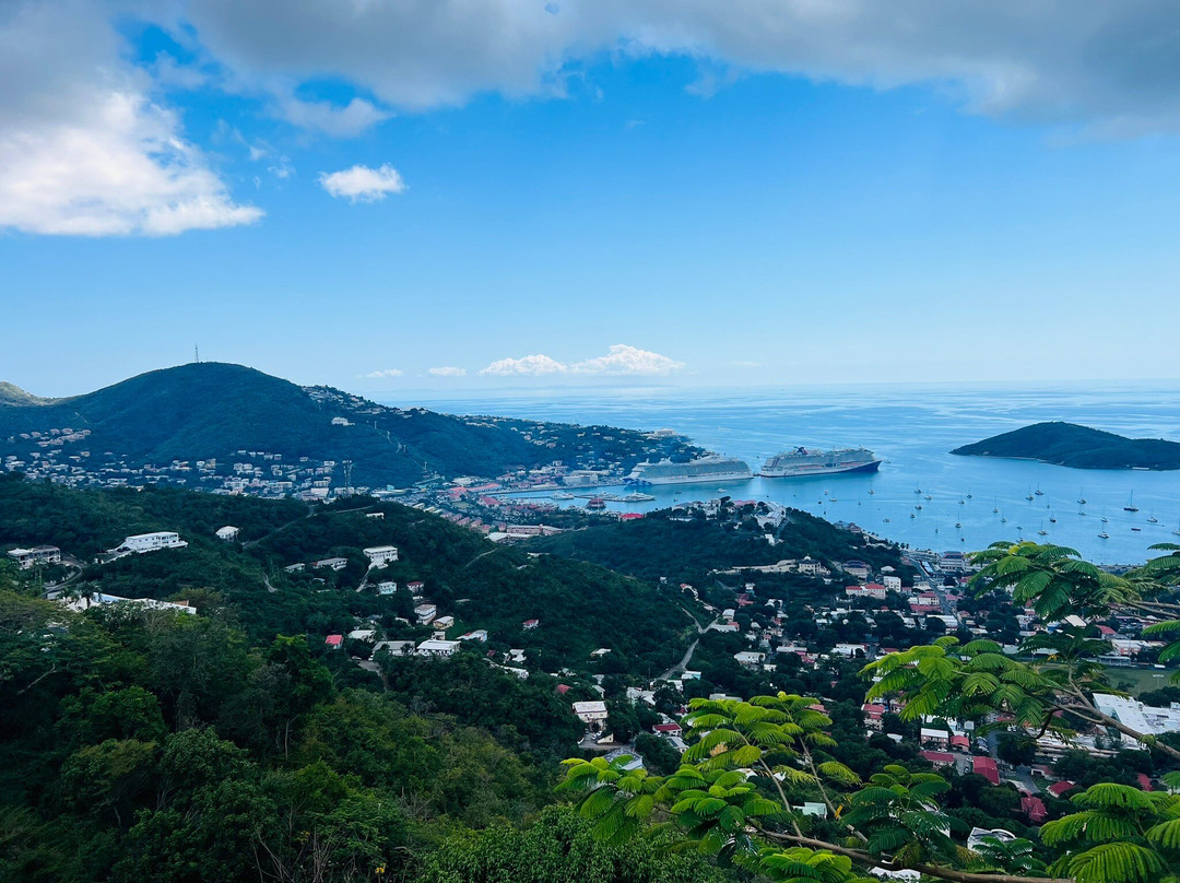 Brenda And Franko's Fun Tours-夏洛特阿马利亚必去景点