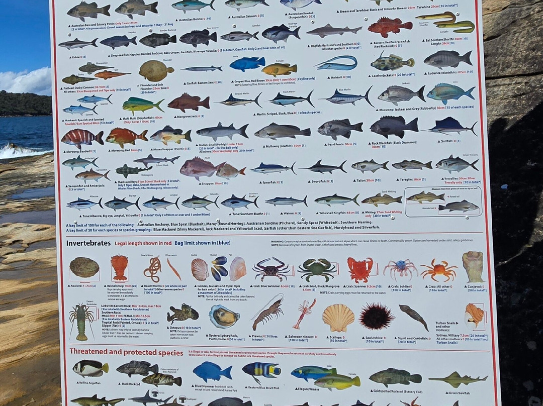 Bare island-La Perouse必去景点