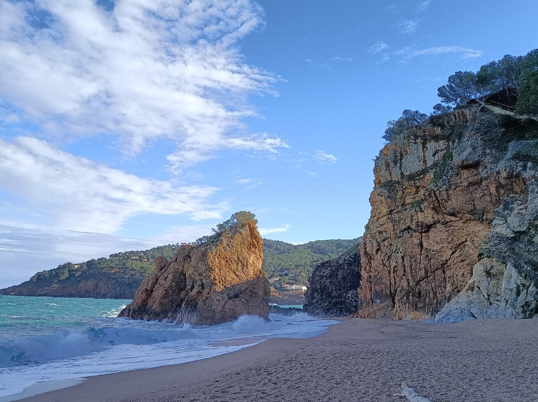 Platja De L'Illa Roja景点图片