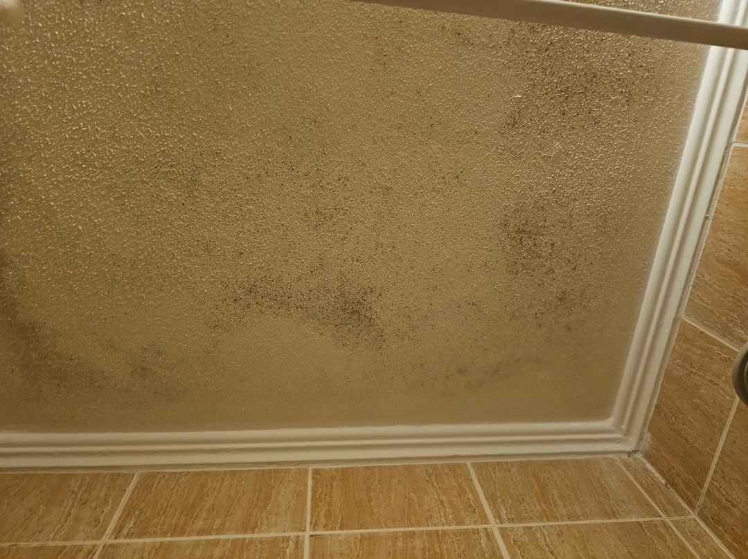 Choromar Apartments主图